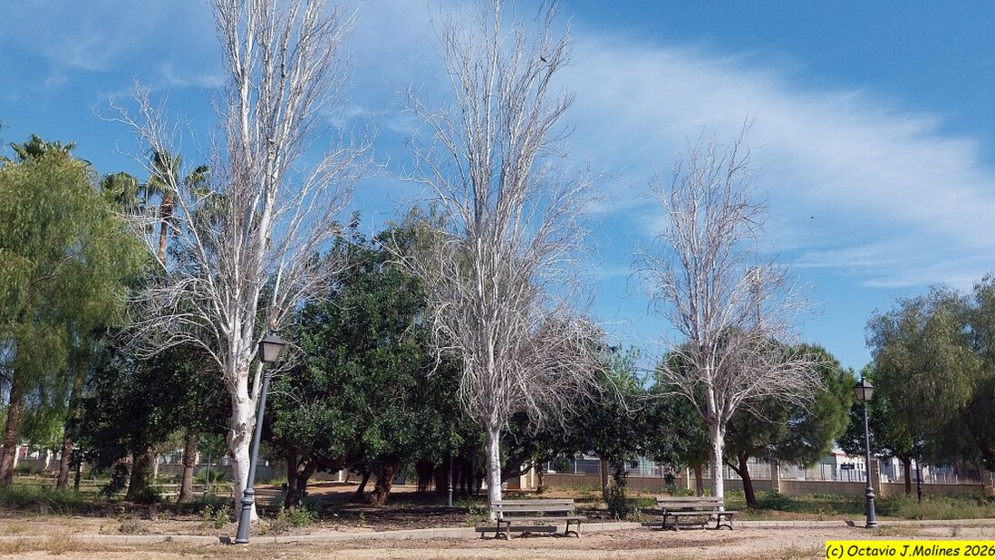 Tramo de Vía Verde con ciclista