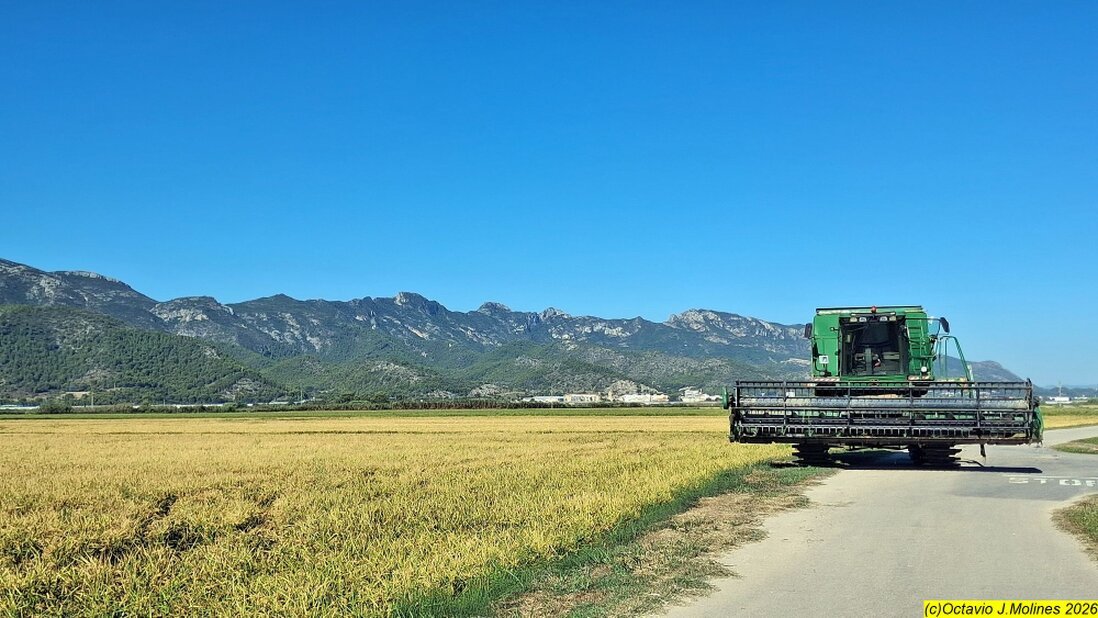 Tramo de Vía Verde con ciclista